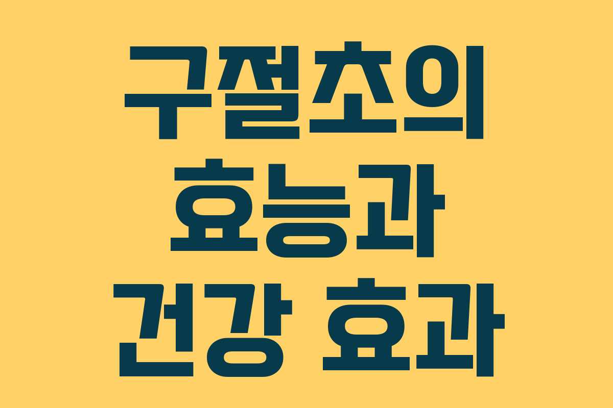 구절초의 효능과 건강 효과 구절초의 효능과 건강 효과